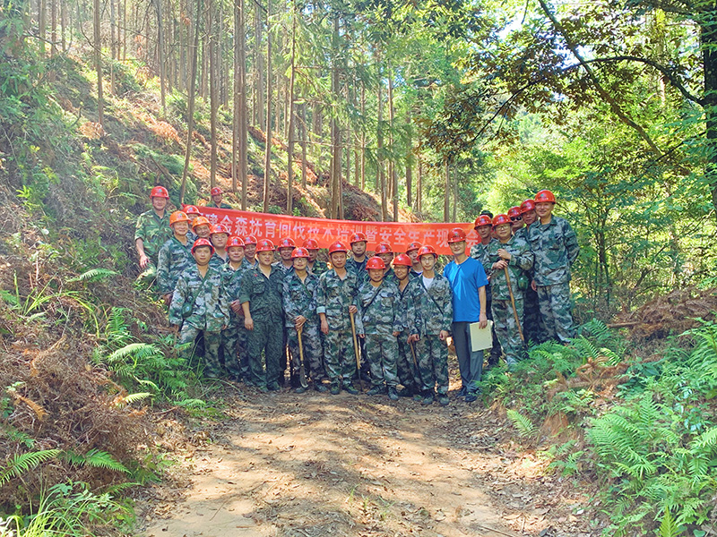 嚴(yán)把森林培育質(zhì)量關(guān)，譜寫資源培育新篇章