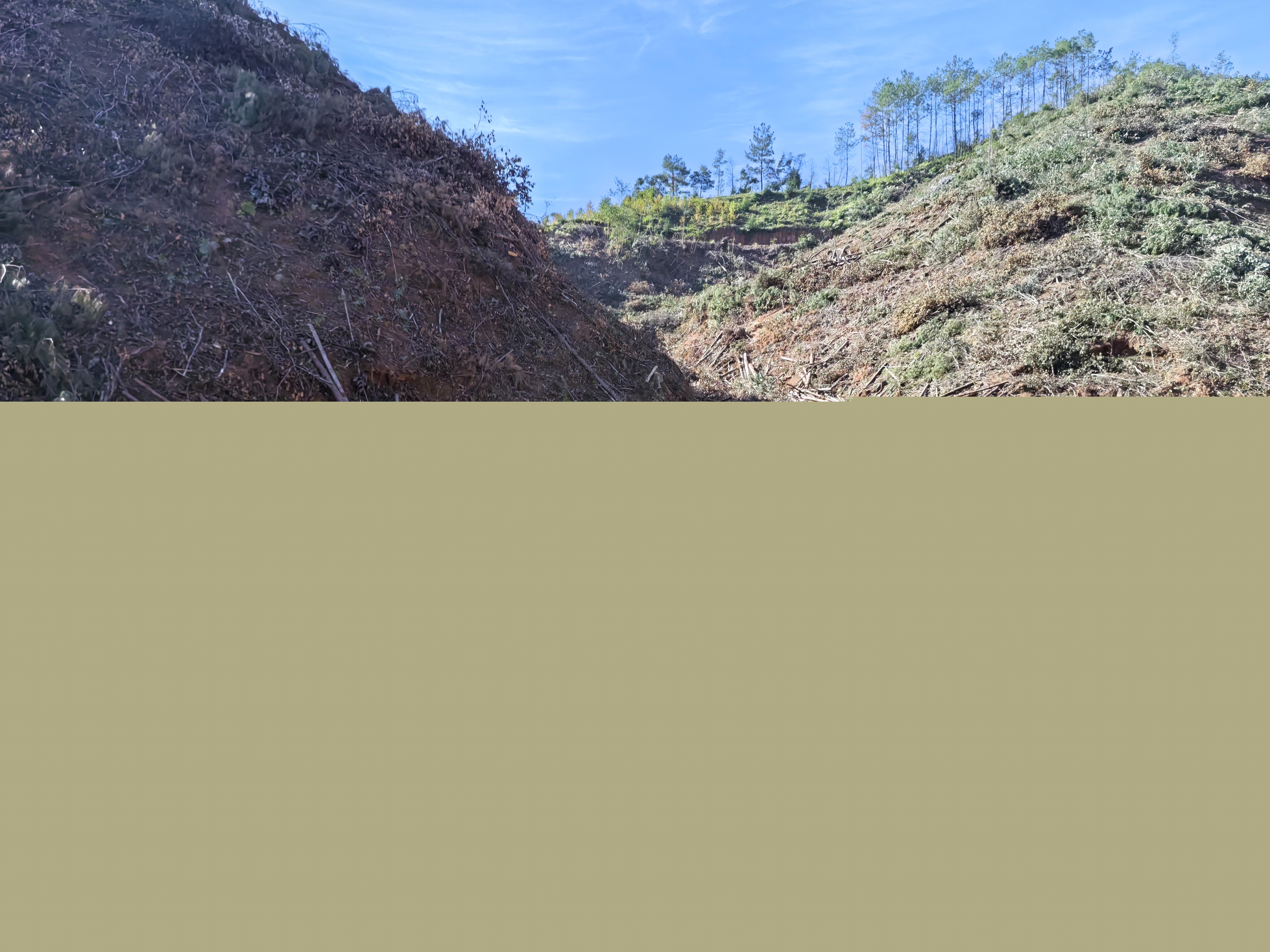 平安常青，我們在行動——常青分公司開展安全生產(chǎn)日活動