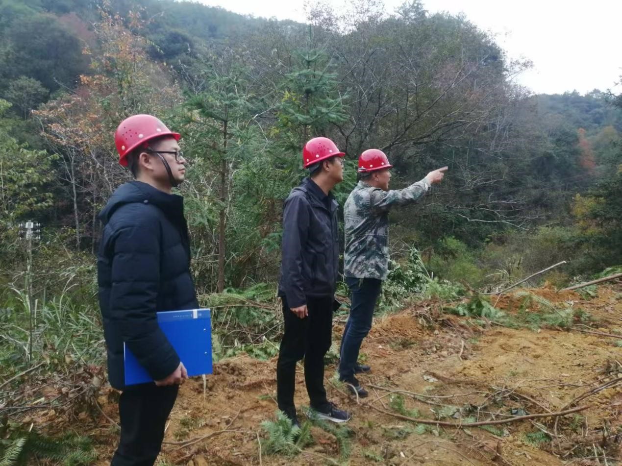 全面強化安全責任，嚴守森林防火線——福建金森全力保障生產(chǎn)安全