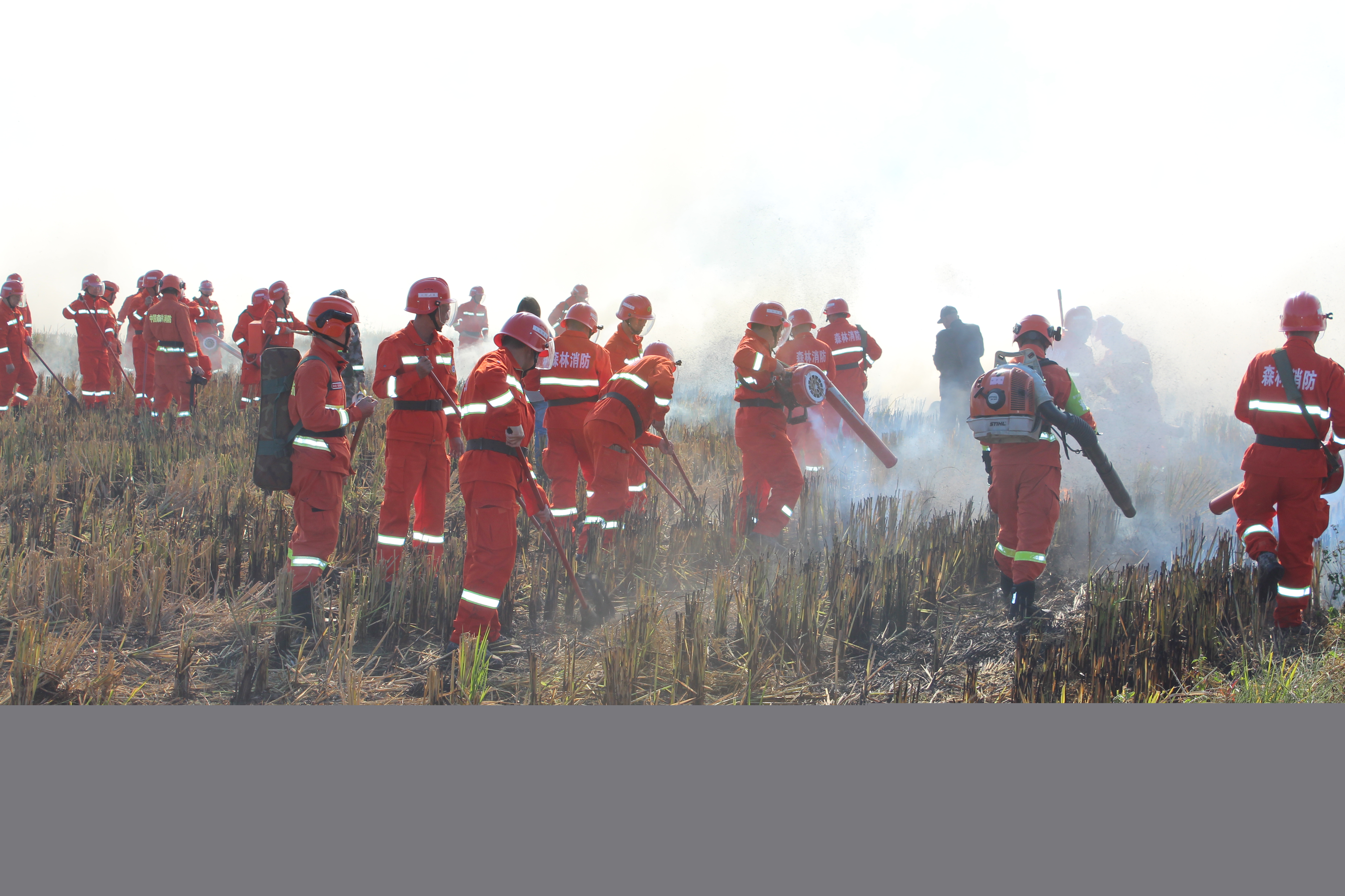 干好每一天|福建金森開展森林防火業(yè)務培訓及防火演練