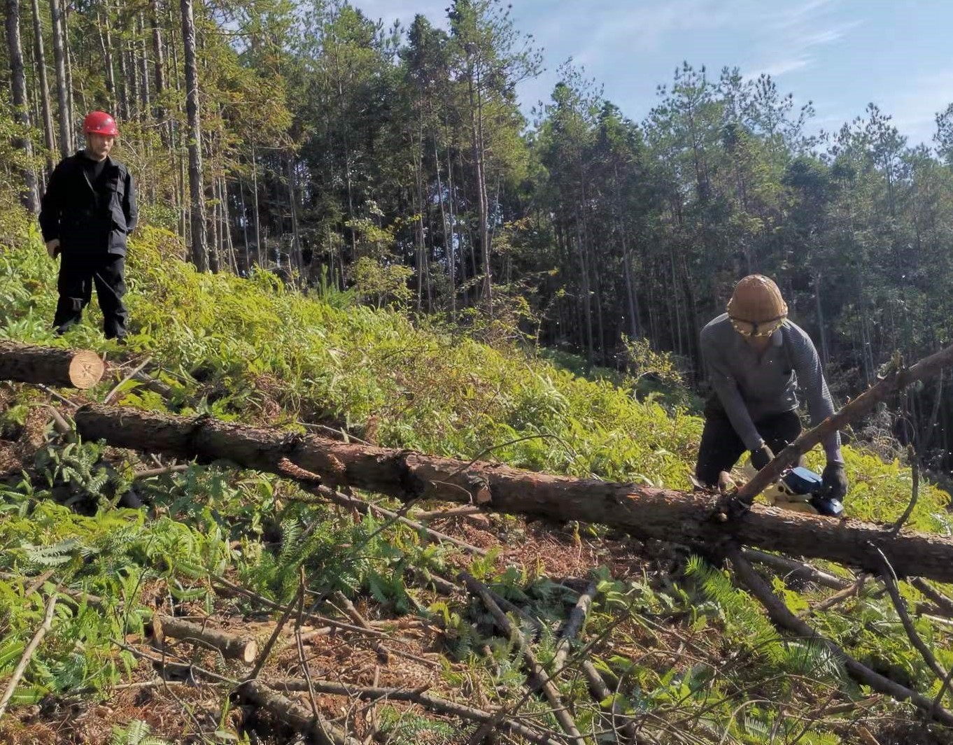 筑牢安全防線，守護(hù)一方平安 ——將溪分公司安全生產(chǎn)工作紀(jì)實(shí)