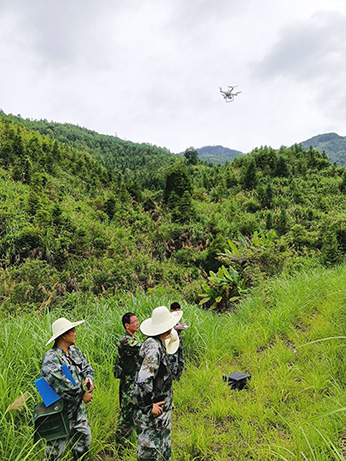 嚴(yán)把森林培育質(zhì)量關(guān)，譜寫資源培育新篇章